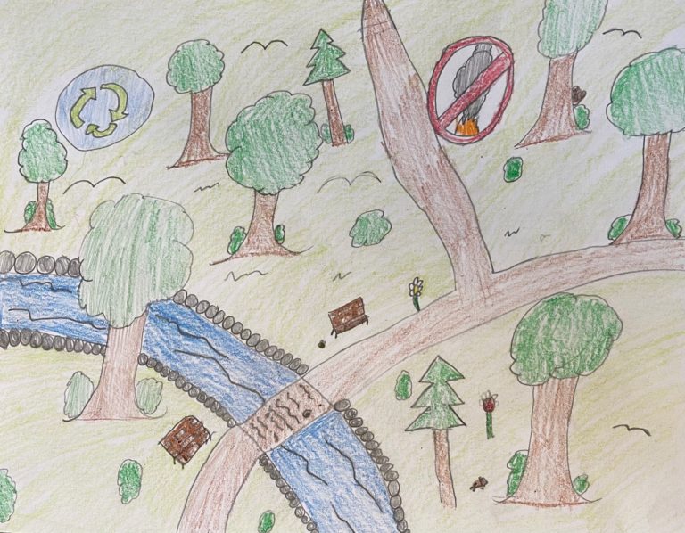 Kids drawing of trees