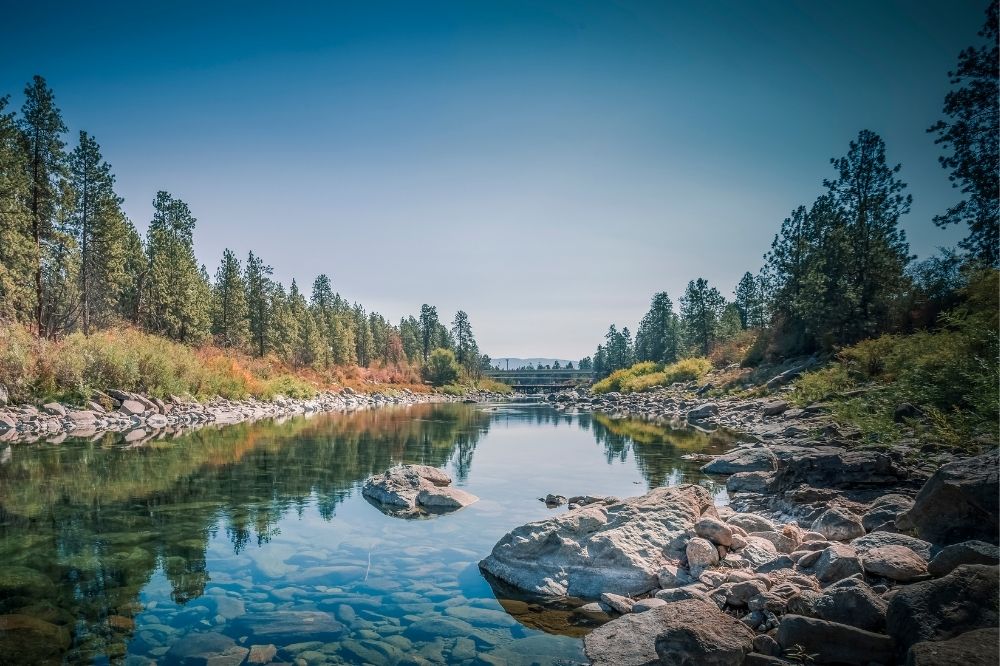 Photo of a still river with evergreen trees and light blue sky.