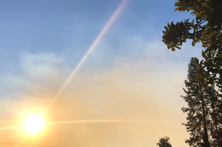 Wildfire smoke filters the sun